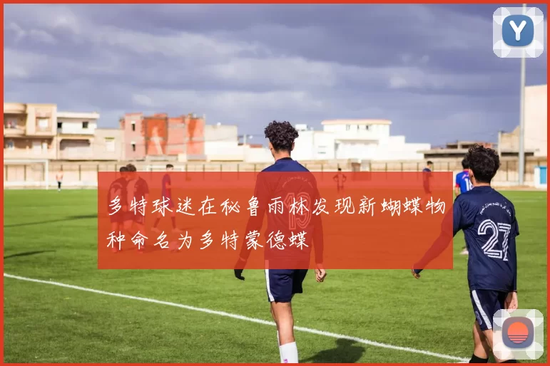 多特球迷在秘鲁雨林发现新蝴蝶物种命名为多特蒙德蝶
